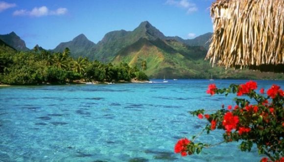 Tema del día: ecología