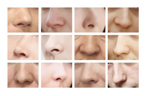 ¿Qué dice tu nariz de ti?