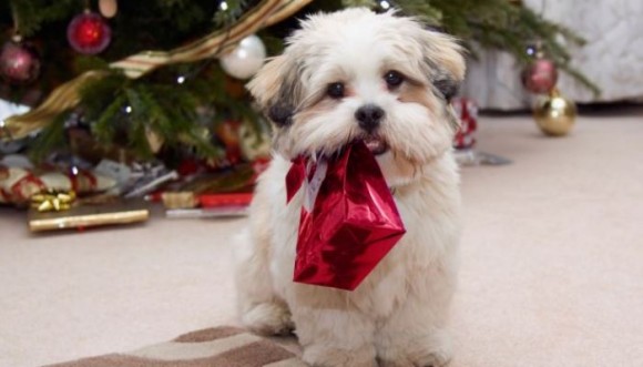 10 regalos navideños para tu mascota hechos a mano