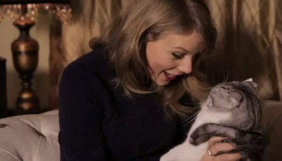 Taylor Swift podría ser la nueva loca de los gatos