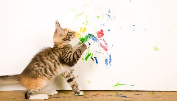 ¿Por qué pintan los gatos?