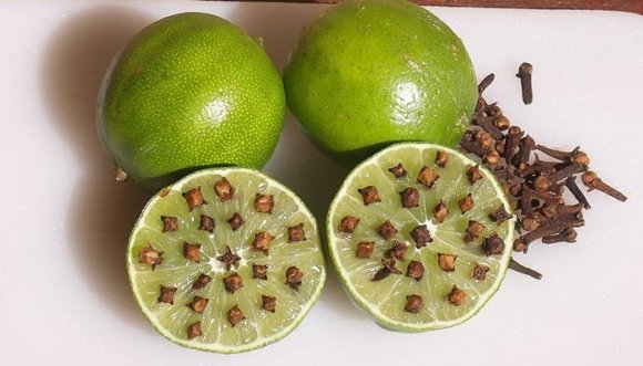 Limón y clavos: Repelente de insectos casero y natural