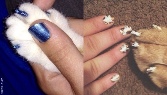 ¿Pintarías las uñas de tu mascota?
