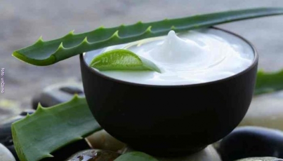 10 beneficios grandes de la sábila