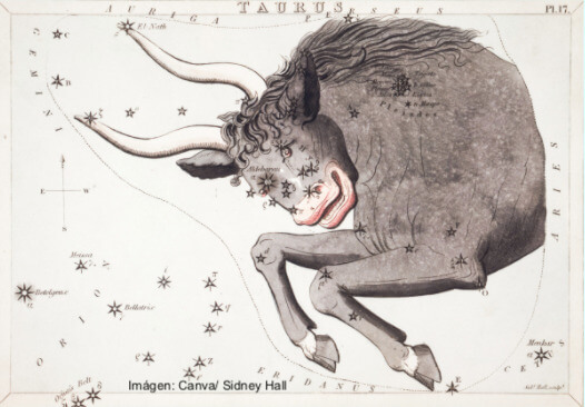 Ilustración de la constelación de Tauro