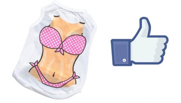 ¿Cómo tener abdomen de bikini sin ir al gimnasio?