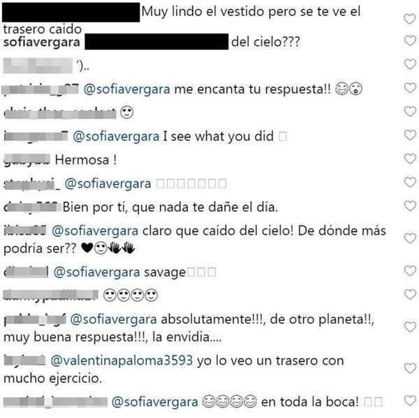 Print de la respuesta de Sofía Vergara en Instagram a un crítico