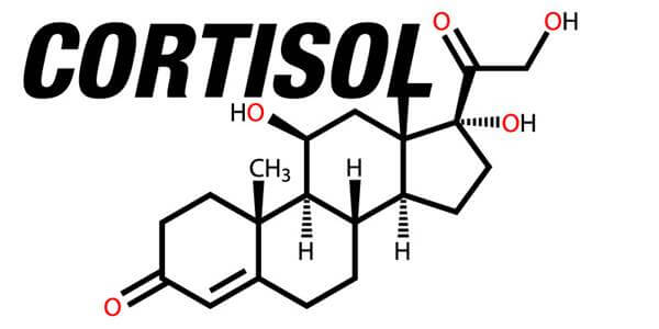 Imagen de la composición química del cortisol