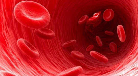 Imagen de glóbulos rojos