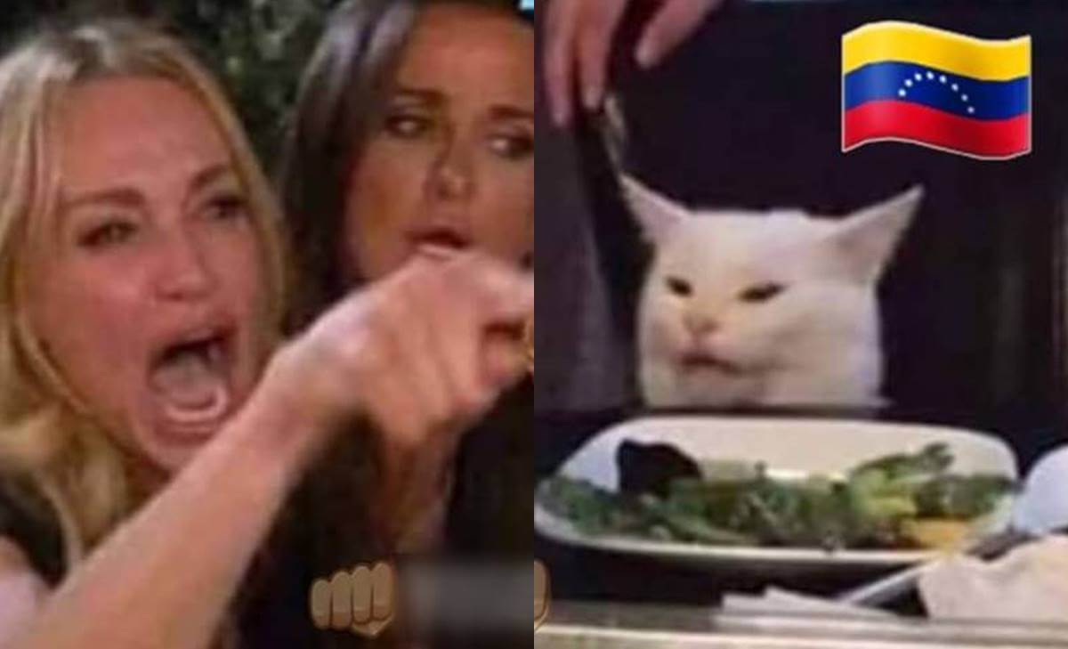 Los Memes Mas Virales Del 2019 Te Haran Reir Hasta El 2020 Vibra Images 