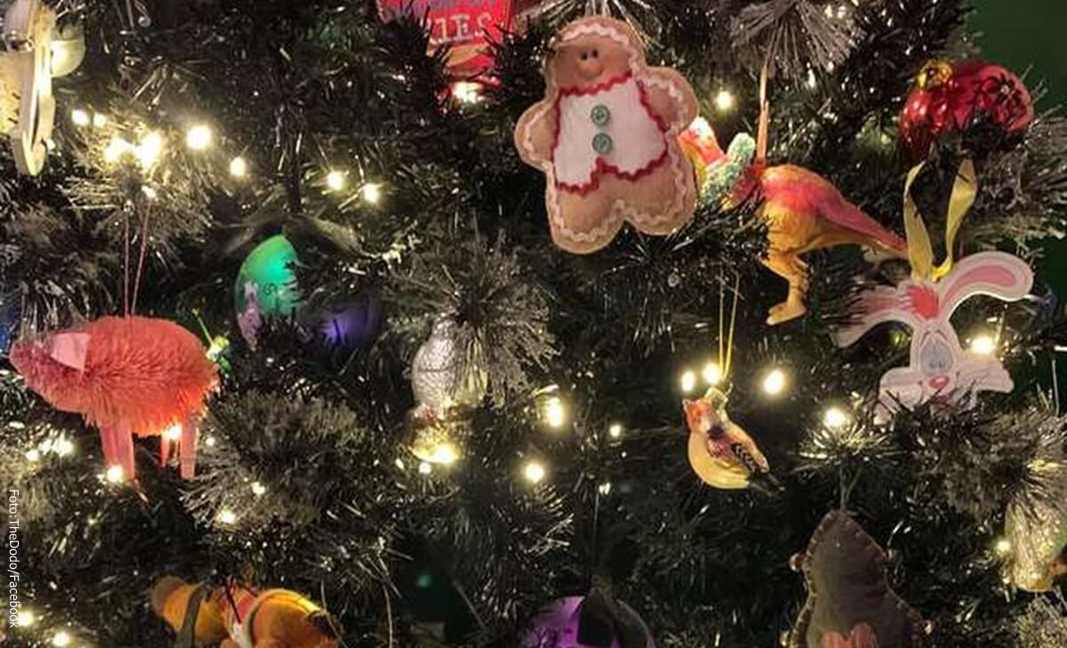Reto visual ¿Podrás encontrar el gato escondido en el árbol de Navidad?
