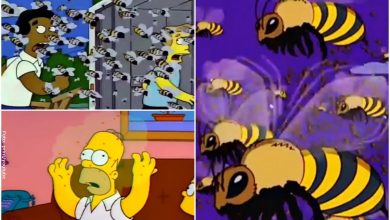 Los Simpson también predijeron la llegada de los avispones asesinos