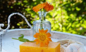 Beneficios de la caléndula para tu salud y bienestar