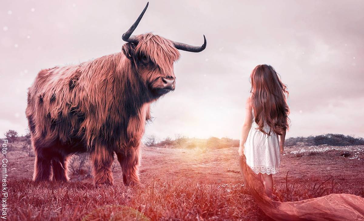 Soñar con vacas: ¿Qué significa y cómo interpretarlo?