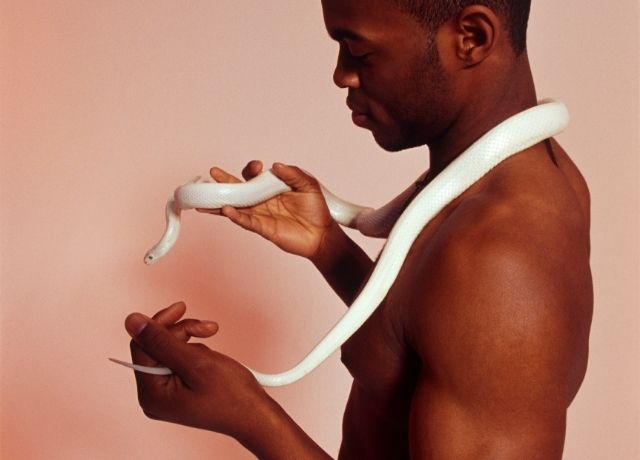 Foto de una serpiente blanca con un hombre