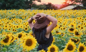 Cómo cuidar un girasol para que dure más tiempo