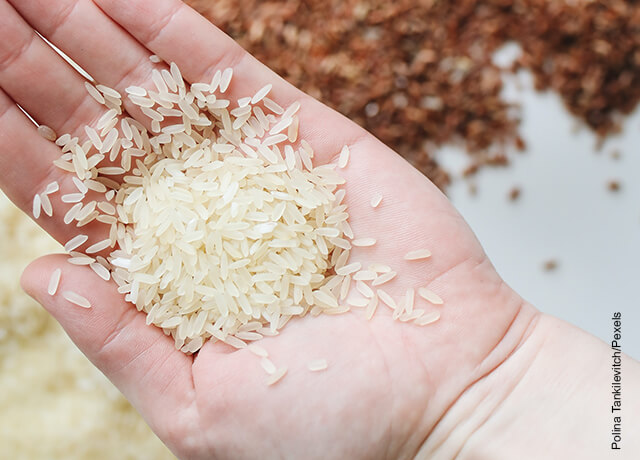 Foto de una mano sosteniendo arroz que ilustra para qué sirve el agua de arroz