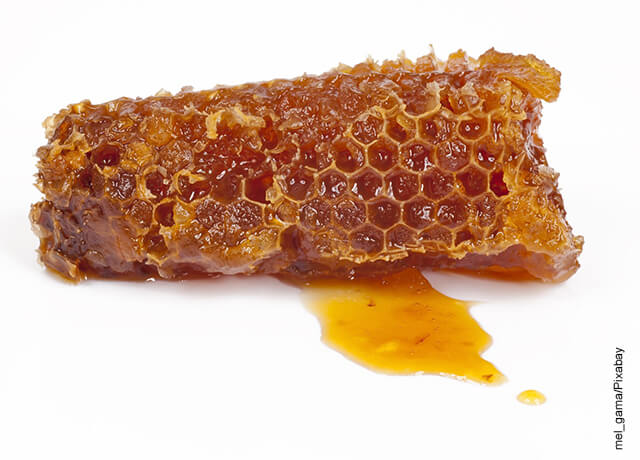 Foto de un panal de abejas