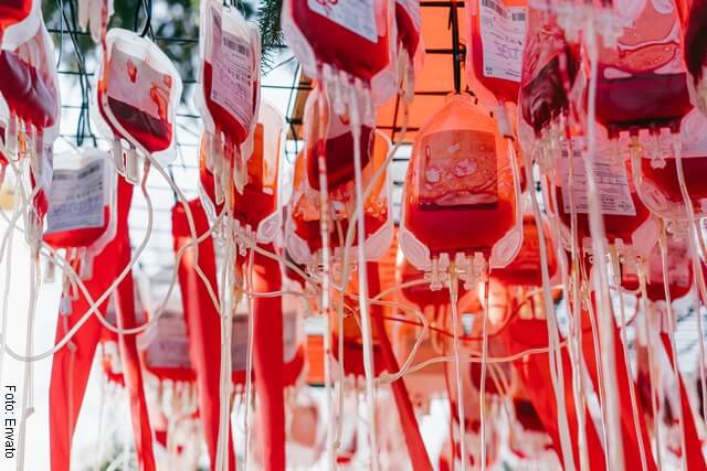 foto de sangre en bolsas