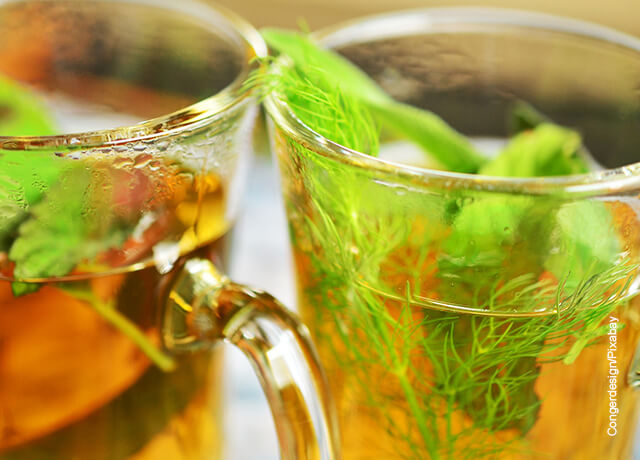 Foto de tés herbales servidos en vasos de vidrio