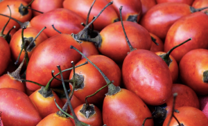 Para qué sirve el tomate de árbol, beneficios para tu salud