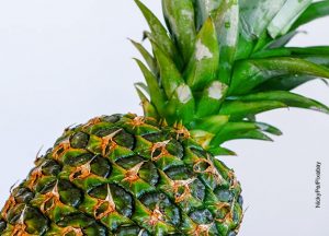 ¿Para qué sirve la piña? Tiene funciones que no conoces