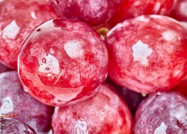 Foto detalle de un racimo de uvas rojas
