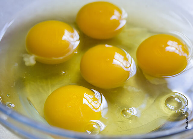 Foto de 5 yemas de huevo