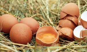 ¿Qué significa soñar con huevos? ¡Tienes suerte!