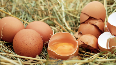 ¿Qué significa soñar con huevos? ¡Tienes suerte!