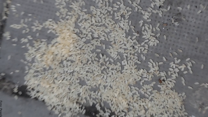 Foto de arroz sucio
