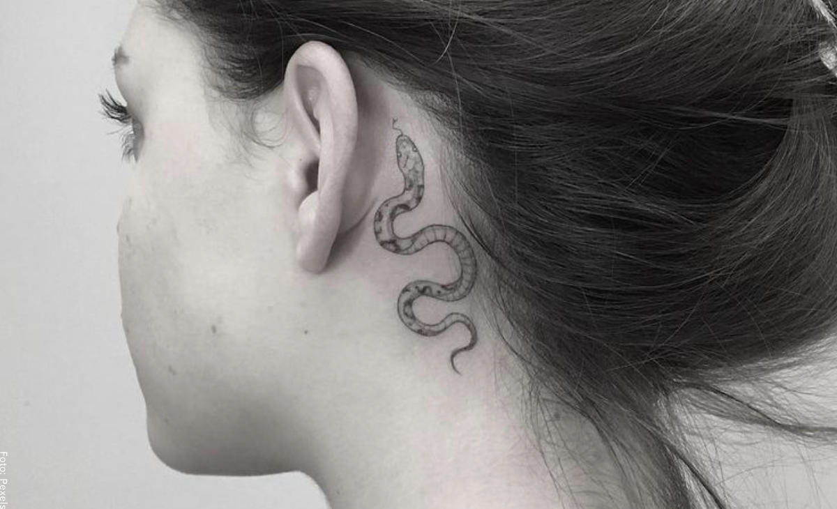 Tatuajes de serpientes: ideas asombrosas para llevar en tu piel