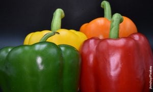 Foto de 4 pimientos de diferente color que ilustran cómo sembrar pimentón