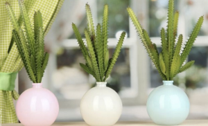 Tipos de cactus: las plantas de moda para decorar