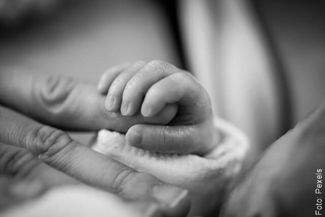 Foto de la mano de un recién nacido agarrando un dedo adulto