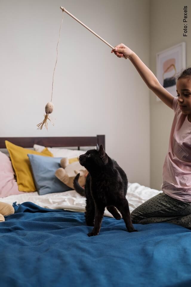 Foto de un gato negro sobre la cama jugando con una niña