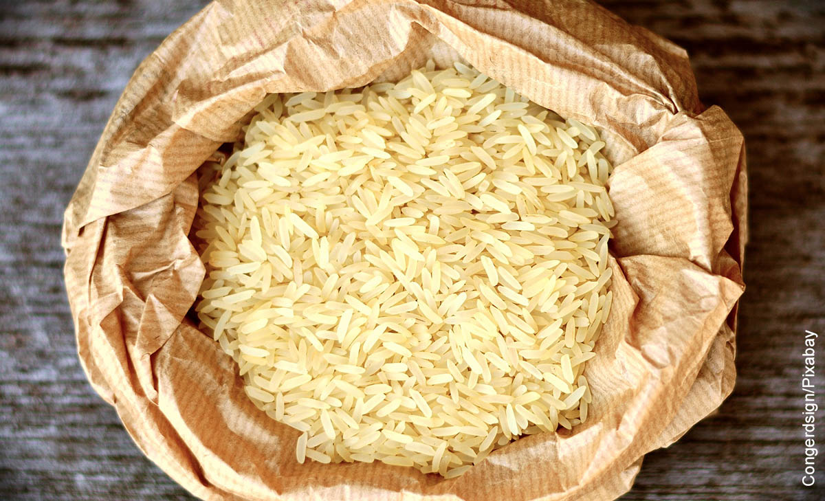 Foto de un bulto de granos que ilustra cómo se cultiva el arroz