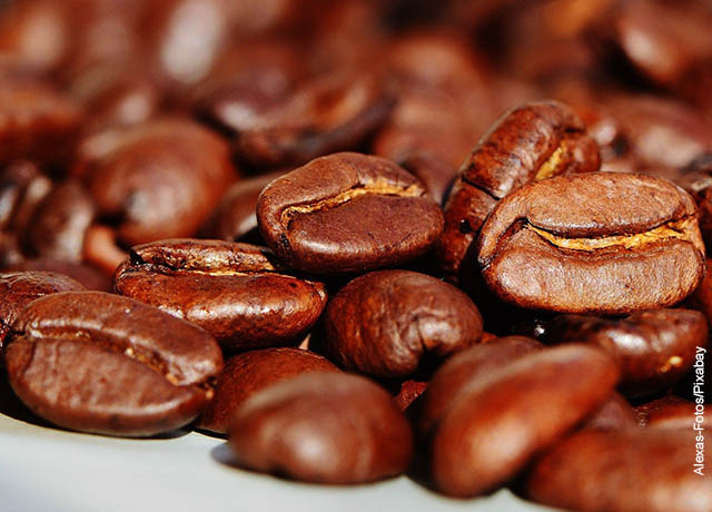 Foto de varios granos de café
