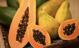 Cómo sembrar papaya en un dos por tres