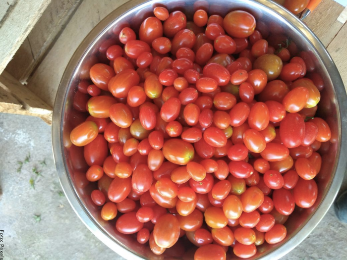 Foto de tomates cherry en un balde