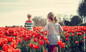 Foto de dos niñas corriendo entre tulipanes que ilustra cómo sembrar una planta