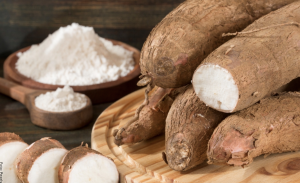 Cómo sembrar yuca y cuidarla en casa