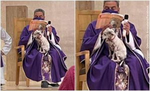 Sacerdote llevó a su perrita enferma a misa y conmovió a miles