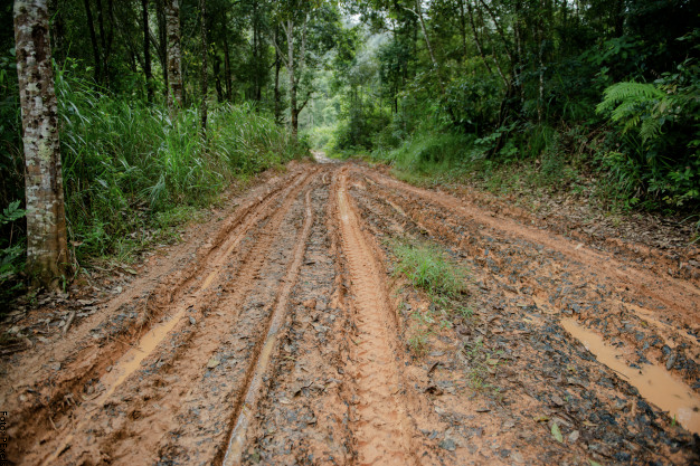Foto de camino lleno de barro