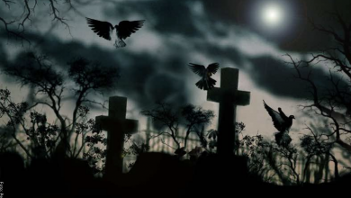 Soñar con cementerio, ¿cuál es el significado?