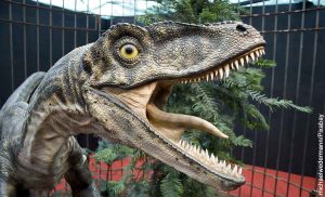 ¿Un bebé dinosaurio pasó por su jardín? Eso afirma una mujer