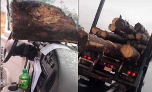 A lo Destino Final 2: se salvan de accidente similar al de la película