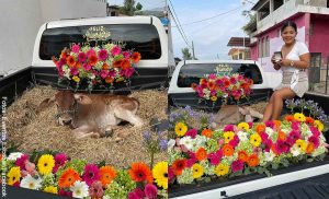 Hombre le regaló un becerro a su novia en el primer aniversario
