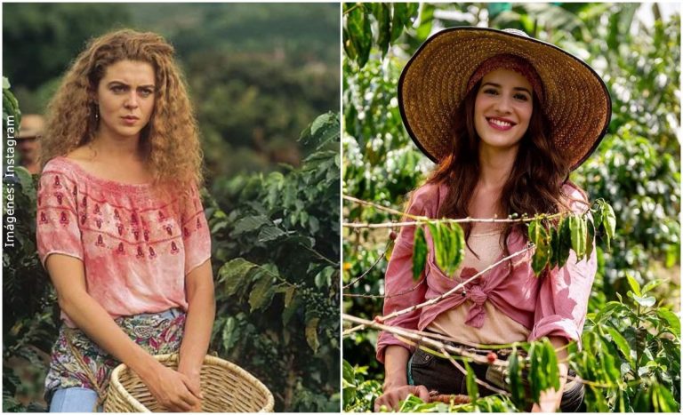 Como Se Llama Gaviota De Cafe Con Aroma De Mujer