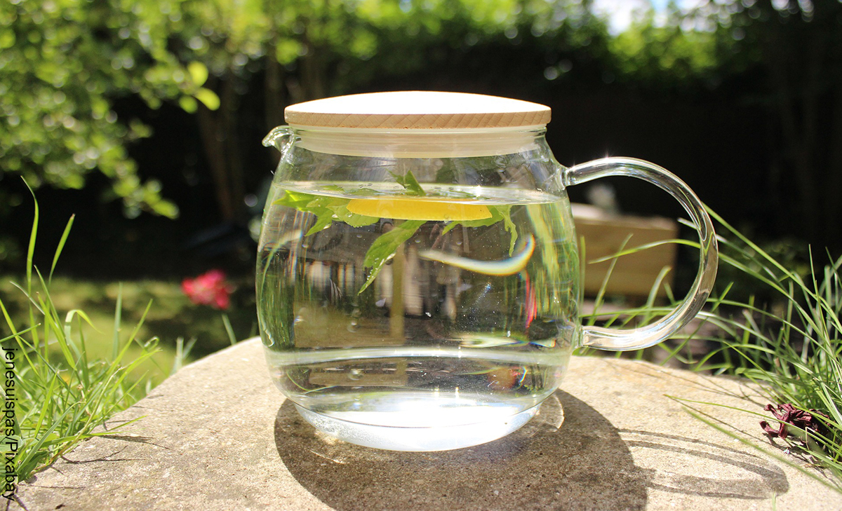 Foto de una taza con infusión herbal que revela para qué sirve el agua de apio
